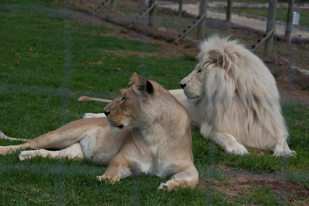 Tenikwa Wildlife Centre & Spa Plettenberg Bay Kültér fotó