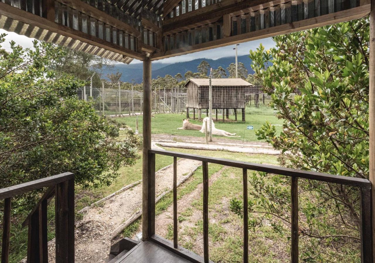 Tenikwa Wildlife Centre & Spa Plettenberg Bay Kültér fotó