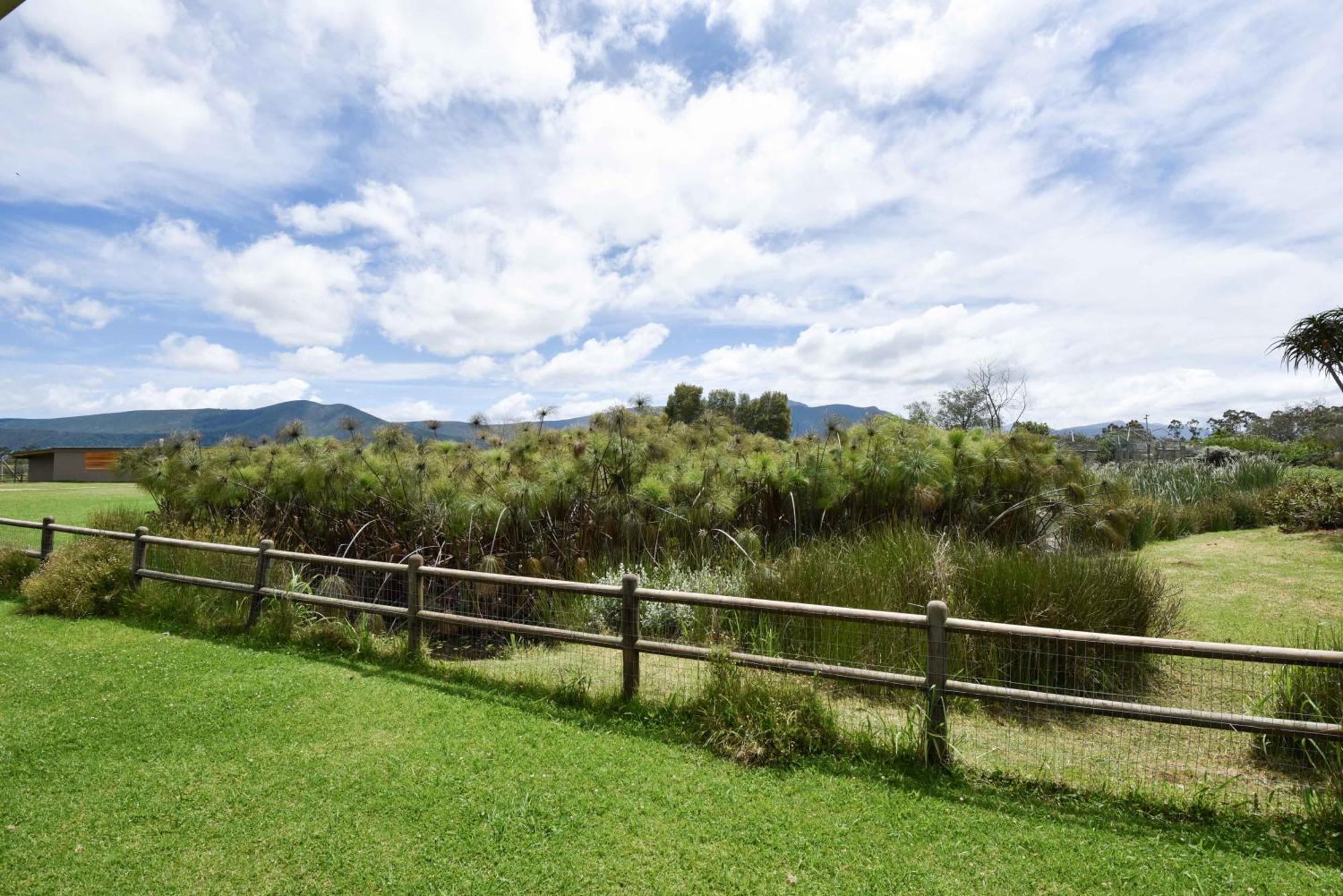 Tenikwa Wildlife Centre & Spa Plettenberg Bay Kültér fotó