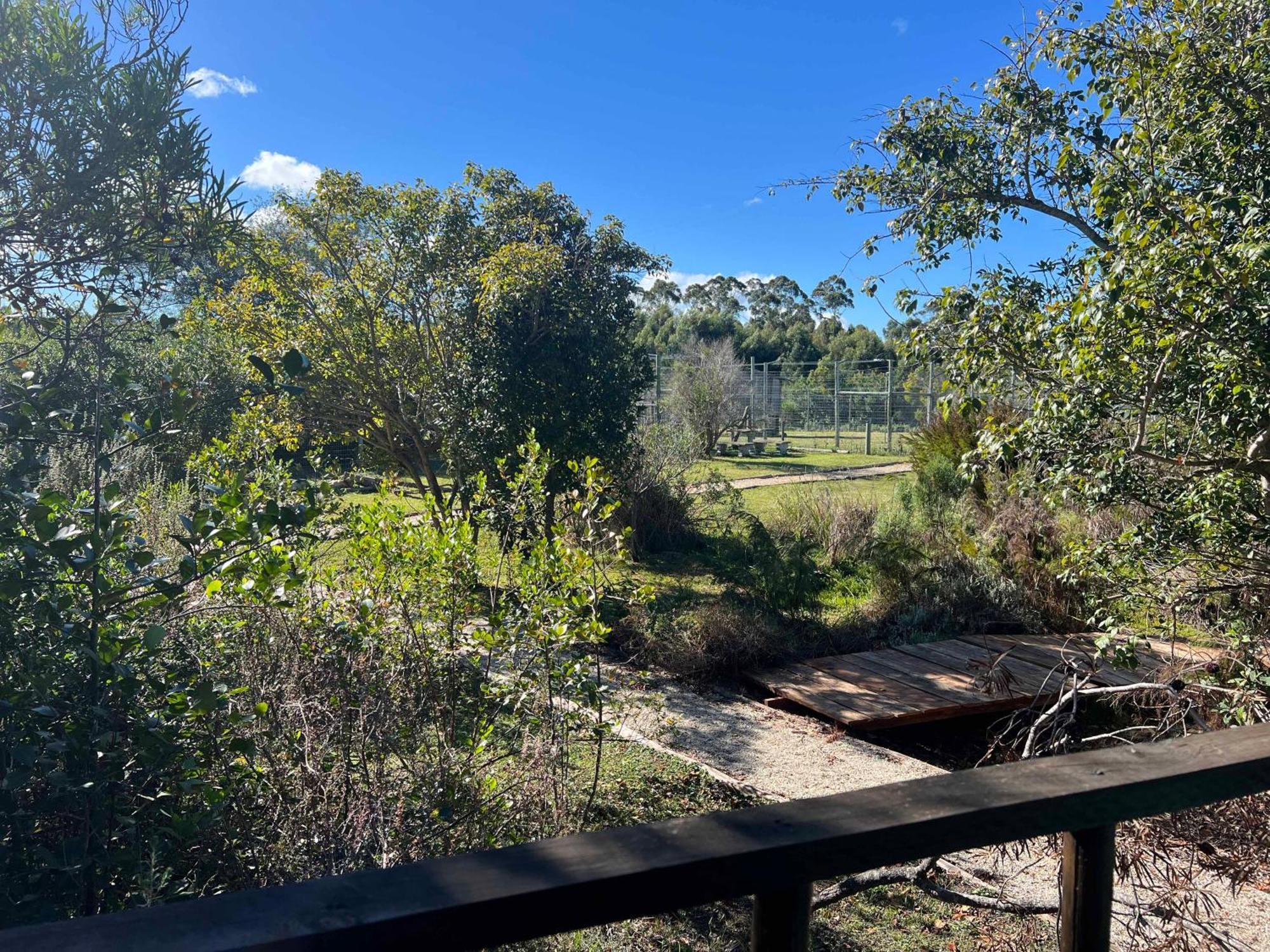 Tenikwa Wildlife Centre & Spa Plettenberg Bay Kültér fotó