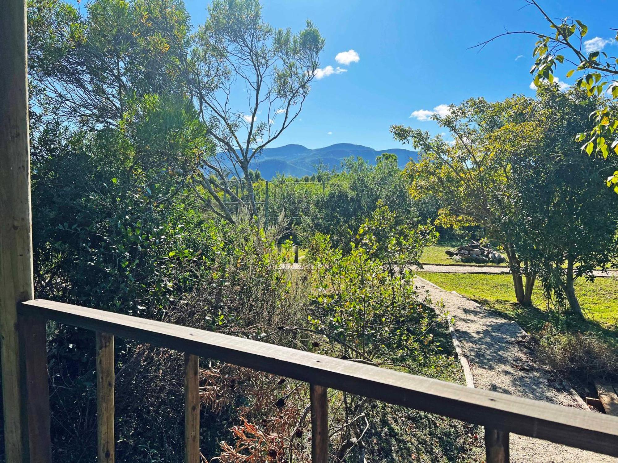 Tenikwa Wildlife Centre & Spa Plettenberg Bay Kültér fotó